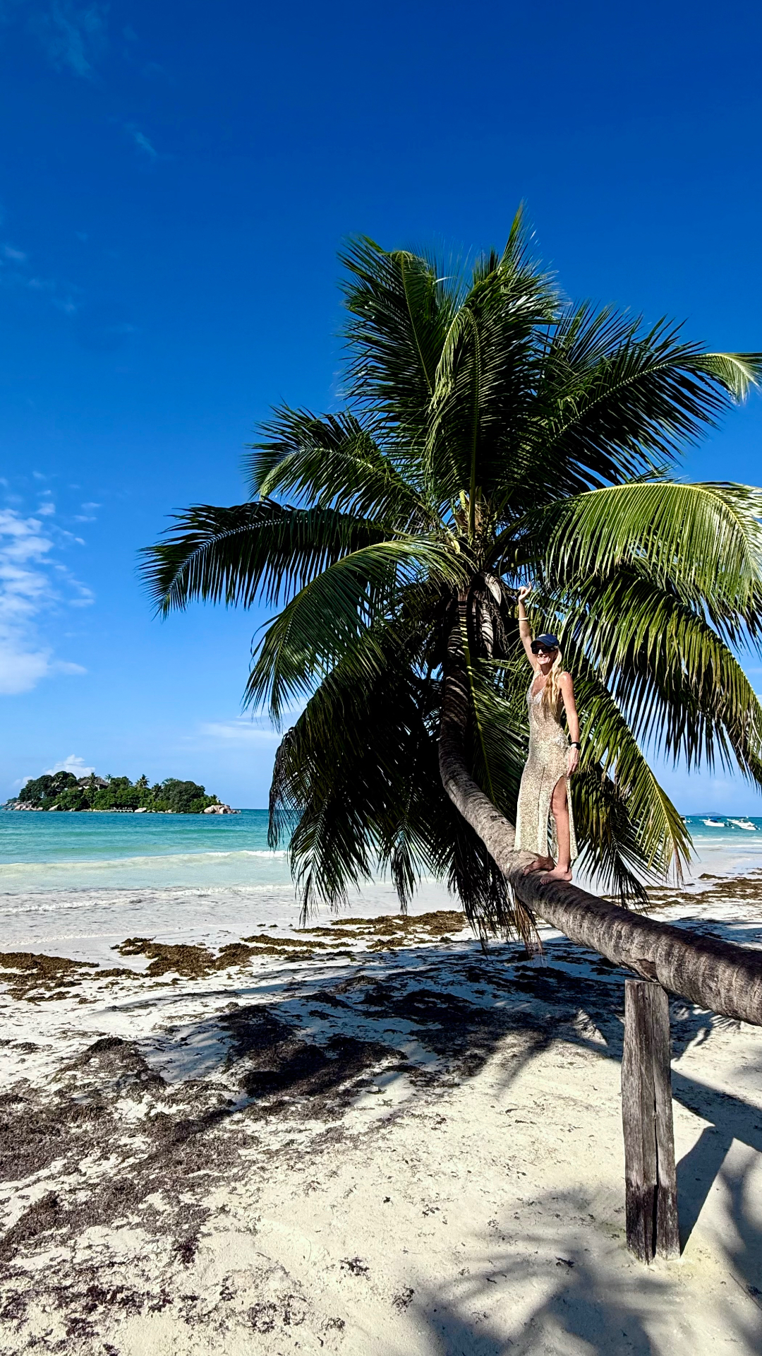 A leaning palm tree shades white sand on Praslin, Seychelles