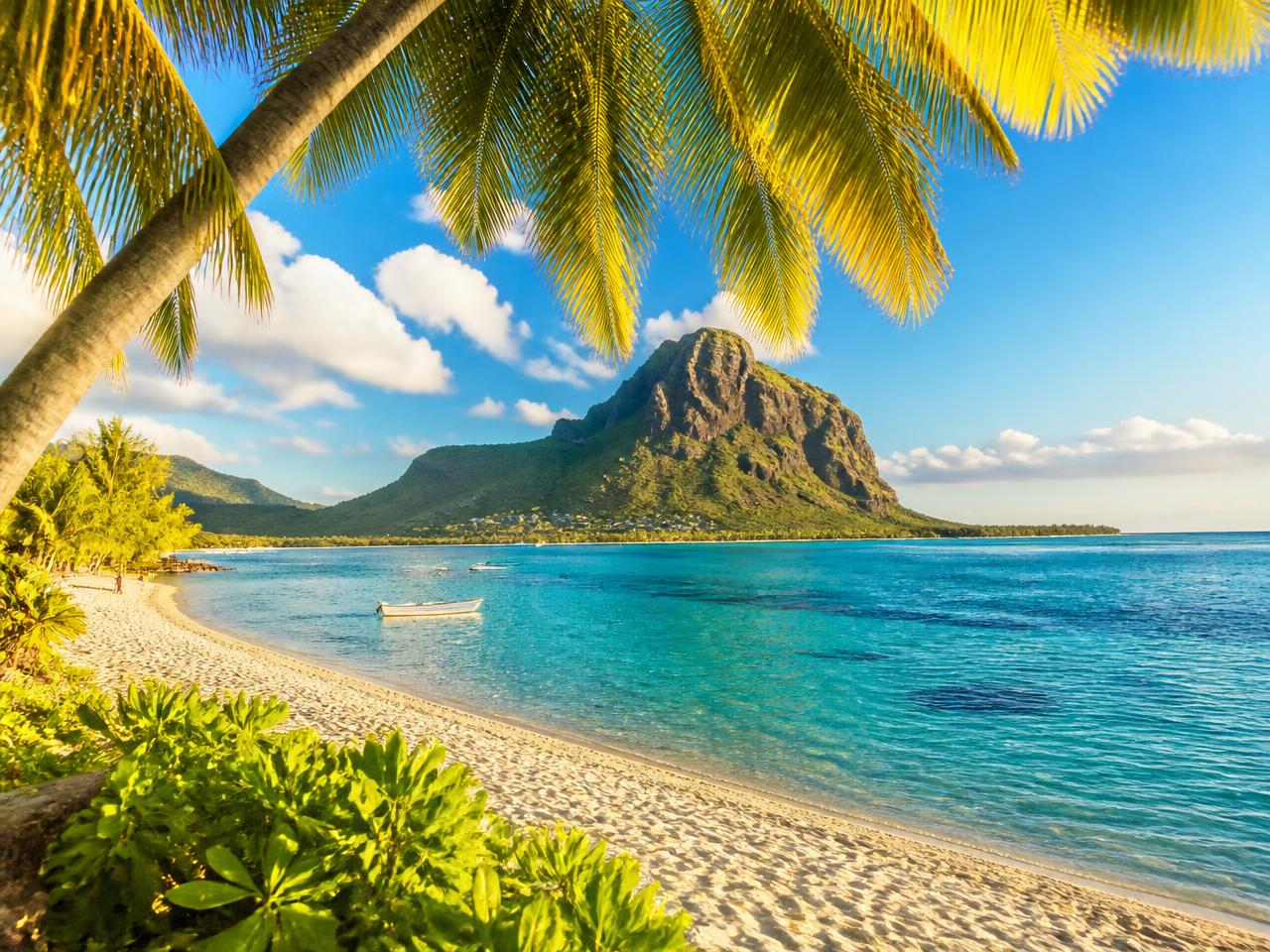 Turquoise Mauritian lagoon framed by black volcanic rock and palms
